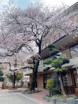 入園進級式